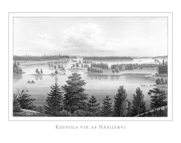 Koivola vik af Näsijärvi