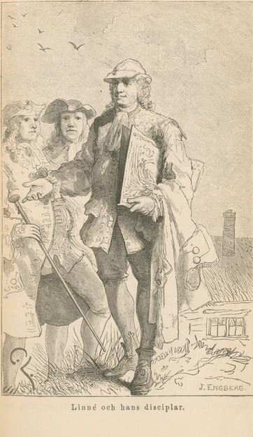 Linné och hans disciplar